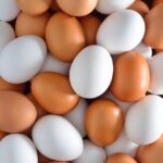 Oeuf2 1 150x150