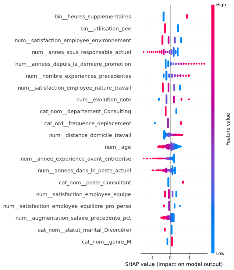 Identification des causes d'attrition interpretation globale shap